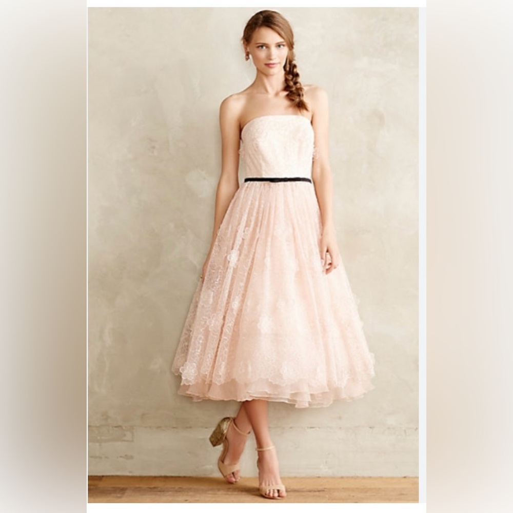 Erin Fetherston Lucielle 3-D Floral Organza Dress NWT